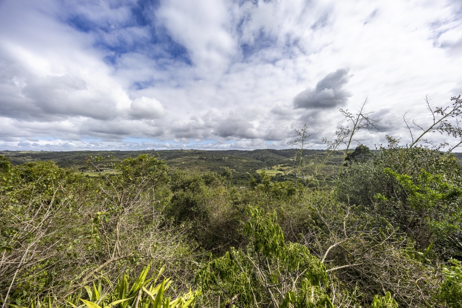 3 Bedroom Property for Sale in Summerpride Eastern Cape